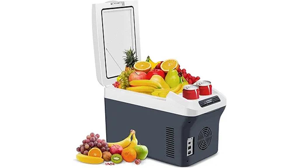 electric cooler and warmer