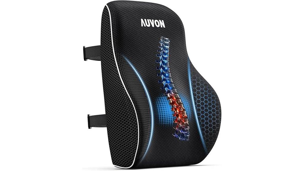 ergonomic lumbar support cushion