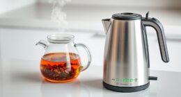 top electric kettles with temperature
