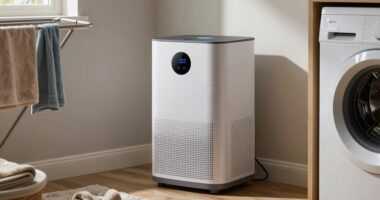dehumidifier capacity misconception