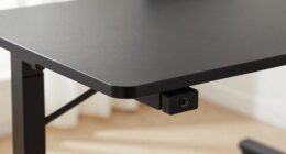 desk stability assessment guide