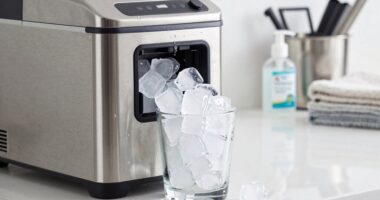 maintain nugget ice cleanliness