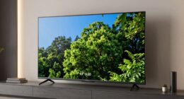 top 12 large oled tvs