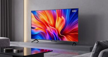 top 14 65 inch qleds