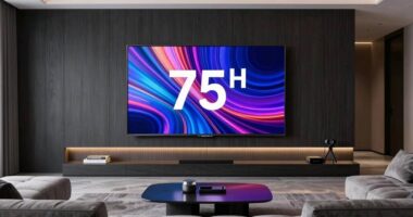 top 75 inch led tvs