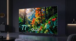 top 77 inch oled tvs