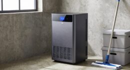 top basement dehumidifiers 2026