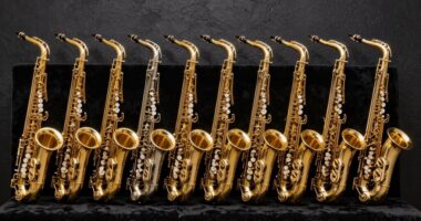 top intermediate tenor saxophones
