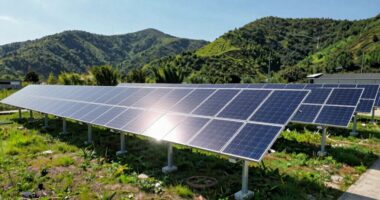 top solar panel power kits