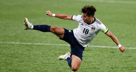 impact of motion clarity