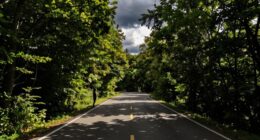 pacing influences narrative emotions