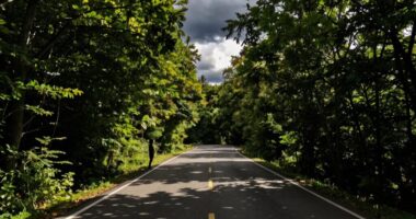 pacing influences narrative emotions