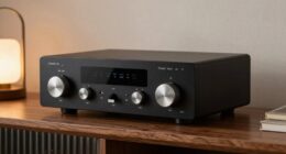 simple amplifiers remain popular