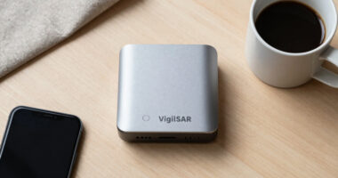 VigilSAR Benchmark: There Is No Best Model